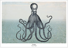 Afbeelding in Gallery-weergave laden, Maritieme print - Octopus