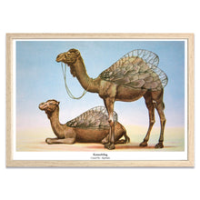 Afbeelding in Gallery-weergave laden, Print New species - Kameelvlieg