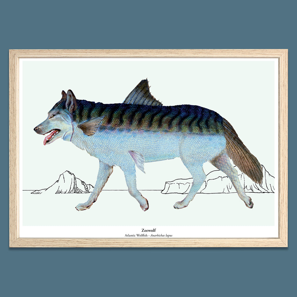 Print New Species - Zeewolf – De Beeldvink