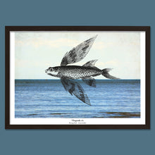 Afbeelding in Gallery-weergave laden, Maritieme print - Vliegende vis