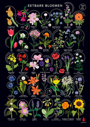 Eetbare bloemenposter, wildpluk, botanische poster, De Beeldvink