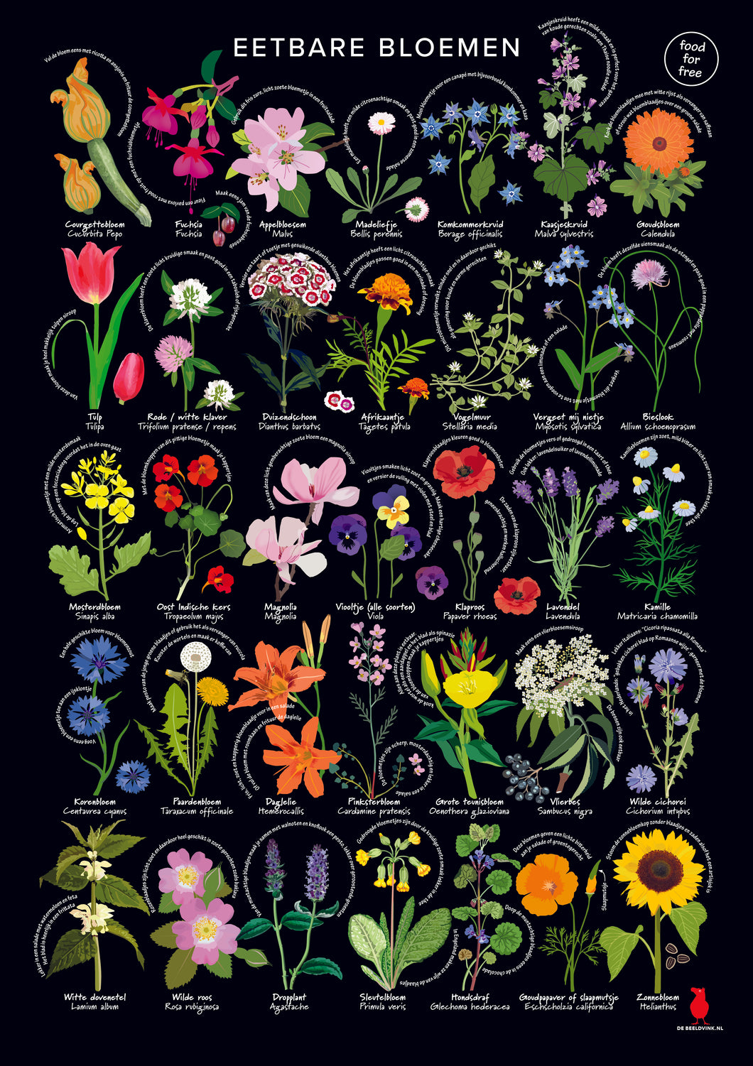Eetbare bloemenposter, wildpluk, botanische poster, De Beeldvink