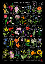 Afbeelding in Gallery-weergave laden, Eetbare bloemen poster A1 met 35 eetbare bloemen uit Nederland, botanische illustraties en tips voor gebruik in de keuken