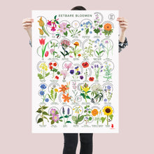 Afbeelding in Gallery-weergave laden, Eetbare bloemen poster A1 met 35 eetbare bloemen uit Nederland, botanische illustraties- en mooi design