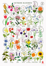 Afbeelding in Gallery-weergave laden, Eetbare bloemenposter, wildpluk, wildplukposter, botanische poster, De Beeldvink