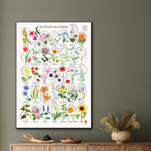 Afbeelding in Gallery-weergave laden, Eetbare bloemen poster A1 met 35 eetbare bloemen uit Nederland, botanische illustraties en tips voor gebruik in de keuken in woonkamer