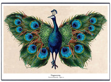 Afbeelding in Gallery-weergave laden, Een fantasierijke collage print op hout van de Dagpauwoog een pauw met vlindervleugels.