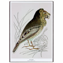 Afbeelding in Gallery-weergave laden, Een fantasierijke collage print op hout van de Leeuwerik een vogel met de kop van een leeuw.