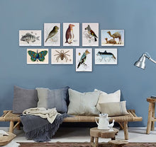 Afbeelding in Gallery-weergave laden, Complete collectie New Species van De Beeldvink met negen fantasierijke collageprints van dieren in houten lijstjes.