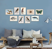 Afbeelding in Gallery-weergave laden, Bijzondere diersoorten van De Beeldvink in een serie van 9 collageprints in A4 lijsten van hout aan de  in een interieur.
