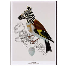 Afbeelding in Gallery-weergave laden, Een fantasierijke collage print op hout van de Zebravink een vink met de kop van een zebra.