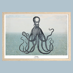 Maritieme print - Octopus