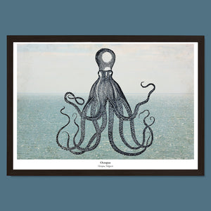 Maritieme print - Octopus