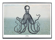 Afbeelding in Gallery-weergave laden, Print op hout - Octopus