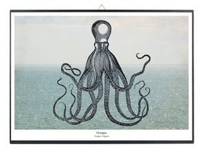 Print op hout - Octopus