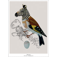 Afbeelding in Gallery-weergave laden, Fantasierijke collage print Zebravink van De Beeldvink, een vink met de kop van een zebra
