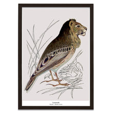 Afbeelding in Gallery-weergave laden, Print New species - Leeuwerik