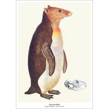 Afbeelding in Gallery-weergave laden, Print New species - Keizerswallaby
