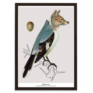 Print New Species - Wolfsklauwier