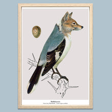 Afbeelding in Gallery-weergave laden, Print New Species - Wolfsklauwier