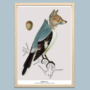Print New Species - Wolfsklauwier