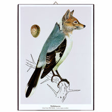 Afbeelding in Gallery-weergave laden, Print op hout - Wolfsklauwier