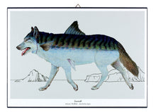Afbeelding in Gallery-weergave laden, Print op hout - Zeewolf