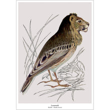 Afbeelding in Gallery-weergave laden, Fantasierijke collageprint Leeuwerik van De Beeldvink, een vogel met de kop van een leeuw.