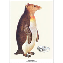 Afbeelding in Gallery-weergave laden, Fantasierijke collageprint Keizerswallaby van De Beeldvink, een pinguïn met de kop van een wallaby.
