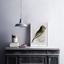 Afbeelding in Gallery-weergave laden, Fantasierijke collageprint van De Beeldvink met een Leeuwerik, afgebeeld op hout en stijlvol gepresenteerd in een interieur.