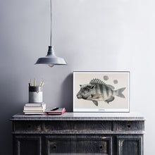 Afbeelding in Gallery-weergave laden, Fantasierijke collageprint van De Beeldvink met een Schaapsbrasem, afgebeeld op hout en stijlvol gepresenteerd in een interieur.