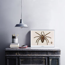 Afbeelding in Gallery-weergave laden, Fantasierijke collageprint van De Beeldvink met een Vogelspin, afgebeeld op hout en stijlvol gepresenteerd in een interieur.